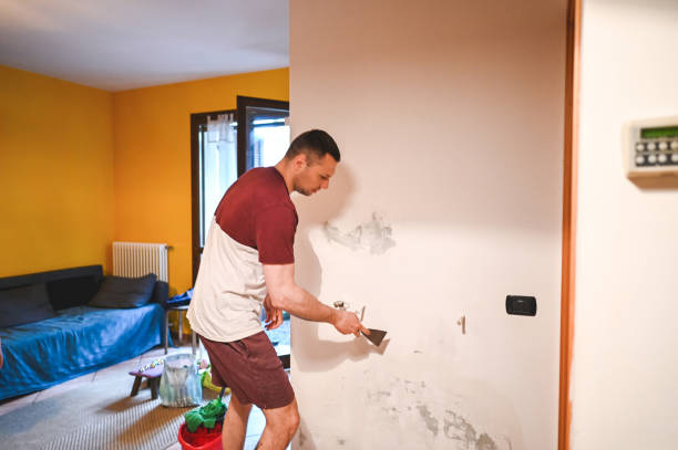 Best Certified Mold Removal  in South Beloit, IL